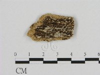 登錄號:F0002805藏品圖，第1張