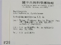 登錄號:F0002806藏品圖，第2張