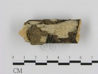 登錄號:F0002807藏品圖，第1張