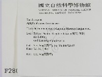 登錄號:F0002809藏品圖，第2張
