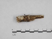 登錄號:F0002811藏品圖，第3張