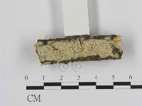 登錄號:F0002812藏品圖，第1張