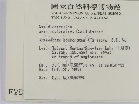 登錄號:F0002813藏品圖，第2張
