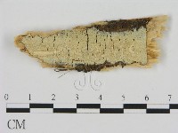 登錄號:F0002813藏品圖，第1張