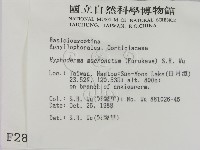 登錄號:F0002814藏品圖，第2張