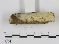 登錄號:F0002814藏品圖，第1張