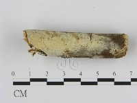 登錄號:F0002814藏品圖，第3張