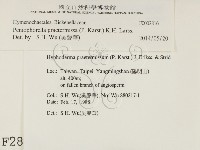 登錄號:F0002816藏品圖，第2張
