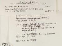 登錄號:F0002817藏品圖，第2張