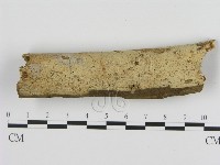 登錄號:F0002817藏品圖，第1張