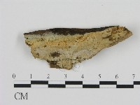 登錄號:F0002818藏品圖，第1張