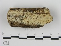 登錄號:F0002819藏品圖，第1張