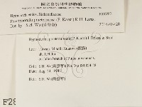 登錄號:F0002821藏品圖，第2張