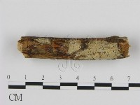 登錄號:F0002821藏品圖，第1張