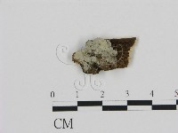 登錄號:F0002823藏品圖，第1張