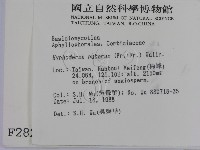 登錄號:F0002824藏品圖，第2張