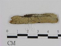 登錄號:F0002824藏品圖，第1張