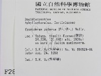 登錄號:F0002825藏品圖，第2張