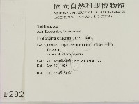 剛毛絲皮菌藏品圖，第2張