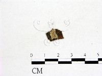 登錄號:F0002839藏品圖，第1張