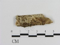 登錄號:F0002840藏品圖，第1張