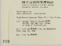 登錄號:F0002841藏品圖，第2張