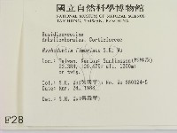 登錄號:F0002842藏品圖，第2張