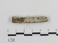 登錄號:F0002842藏品圖，第1張