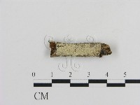 登錄號:F0002843藏品圖，第1張