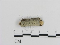 登錄號:F0002844藏品圖，第1張