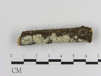 登錄號:F0002845藏品圖，第3張