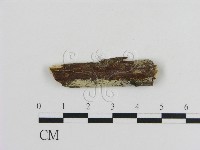 登錄號:F0002846藏品圖，第1張