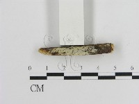 登錄號:F0002846藏品圖，第3張