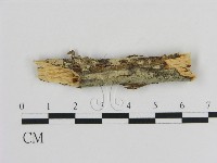 登錄號:F0002848藏品圖，第1張