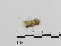 登錄號:F0002849藏品圖，第1張