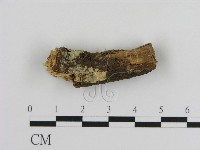 登錄號:F0002851藏品圖，第1張