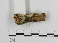 登錄號:F0002851藏品圖，第3張