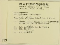 登錄號:F0002852藏品圖，第2張