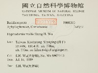 登錄號:F0002853藏品圖，第2張