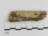 登錄號:F0002854藏品圖，第1張