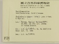 登錄號:F0002856藏品圖，第2張