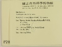 登錄號:F0002857藏品圖，第2張