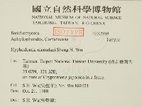 登錄號:F0002859藏品圖，第2張