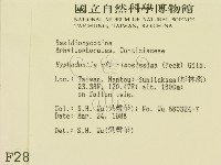 登錄號:F0002860藏品圖，第2張