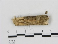 登錄號:F0002861藏品圖，第3張