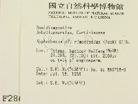 登錄號:F0002862藏品圖，第2張