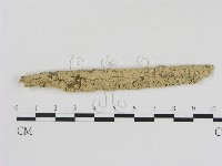 登錄號:F0002862藏品圖，第1張