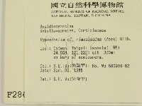 登錄號:F0002864藏品圖，第2張