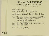 冇骨消絲齒菌藏品圖，第2張