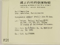 冇骨消絲齒菌藏品圖，第2張